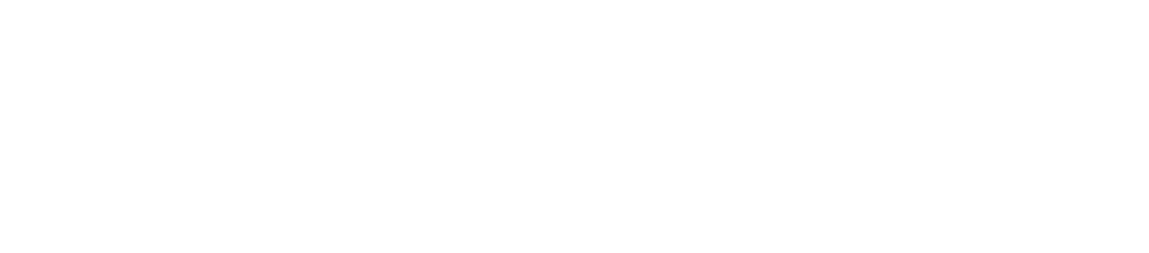 WORDPRESSlogo