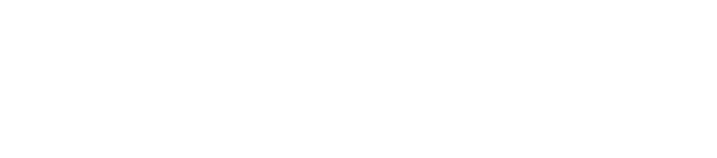 shopifyLOGO